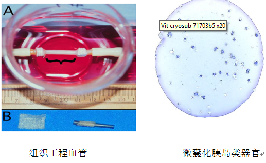 TIM截图20180716094402
